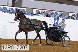12r9_7207 proof