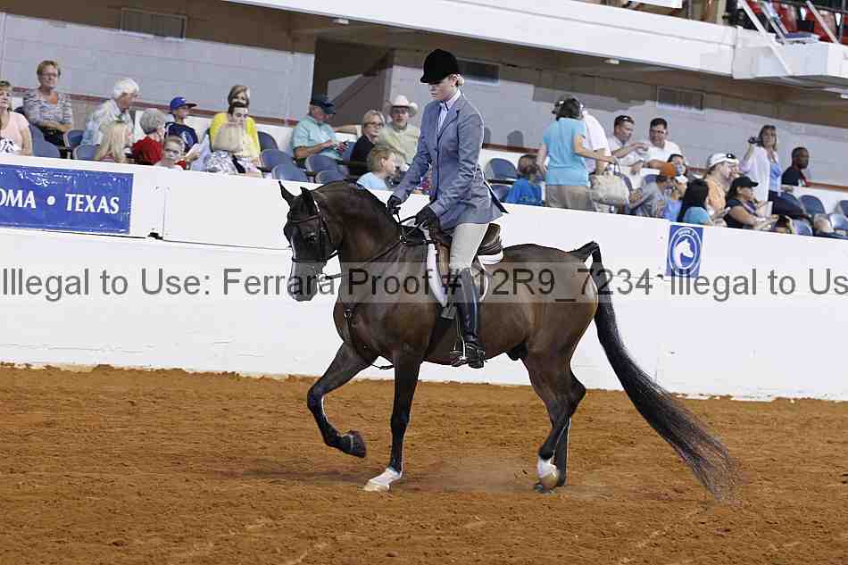 Proof 12r9_7234