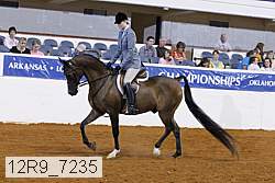 12r9_7235 proof