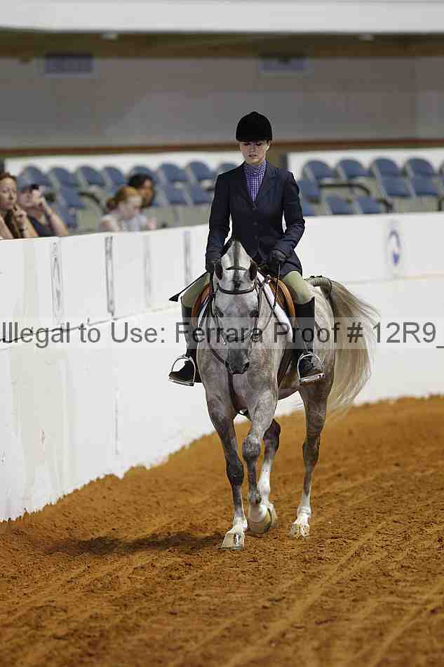Proof 12r9_7245