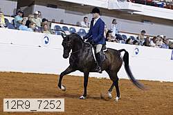 12r9_7252 proof