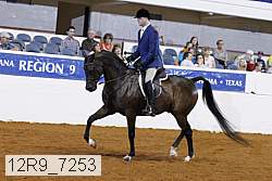 12r9_7253 proof