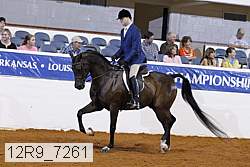 12r9_7261 proof