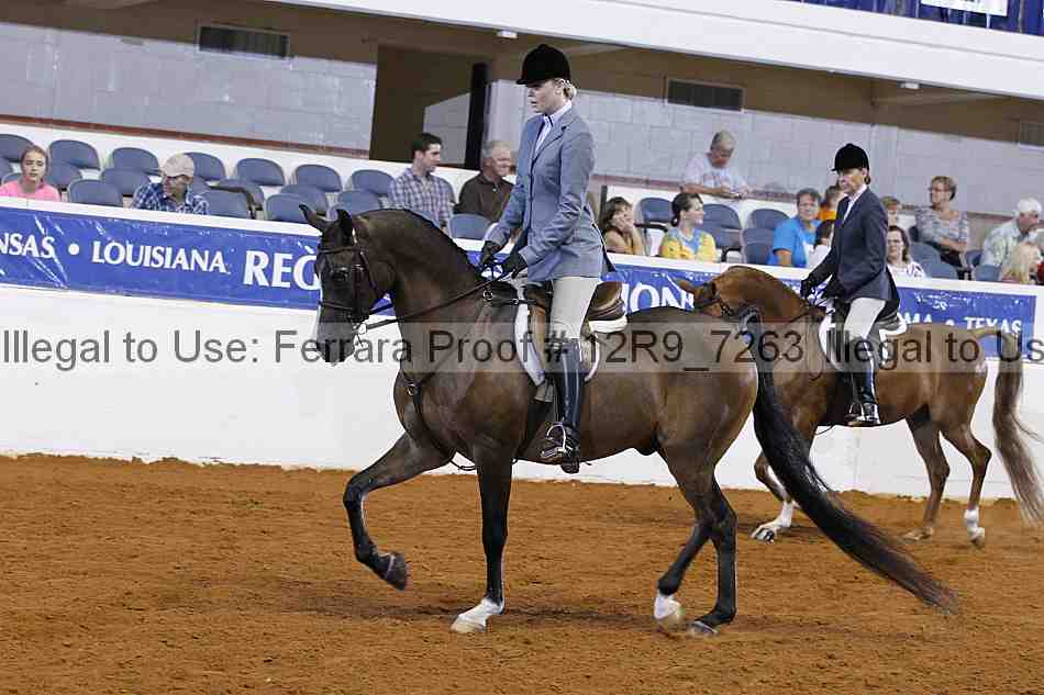 Proof 12r9_7263