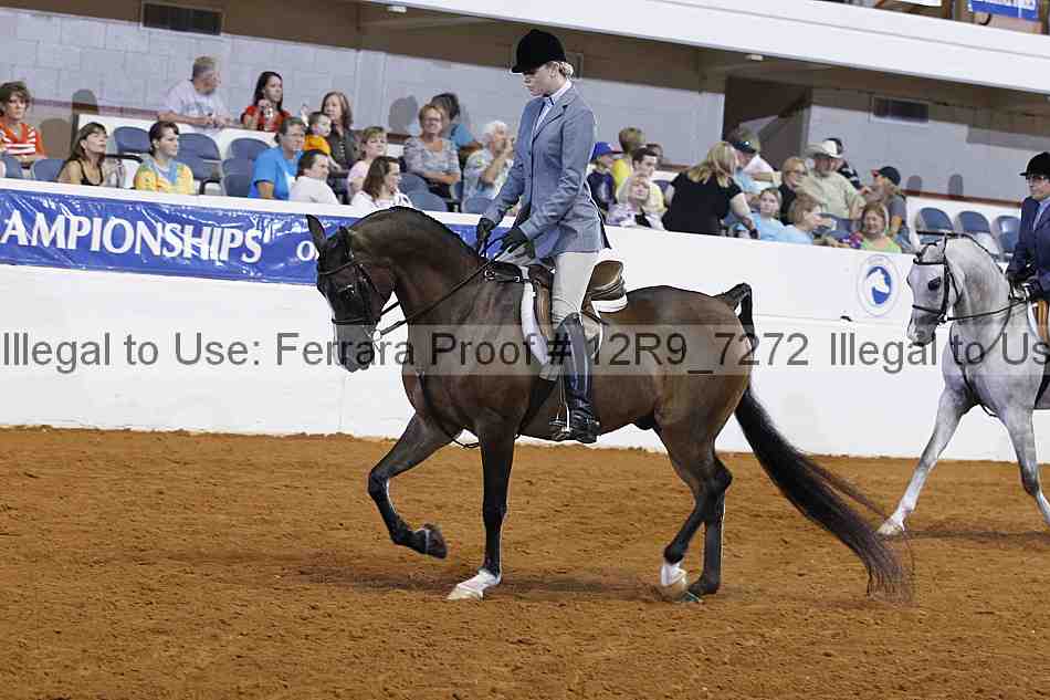 Proof 12r9_7272
