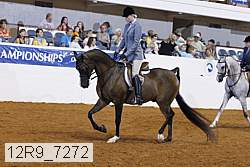 12r9_7272 proof
