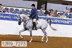 12r9_7273 proof