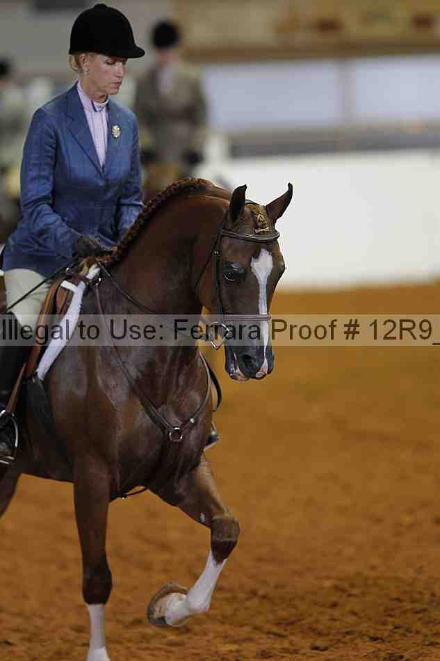 Proof 12r9_7276