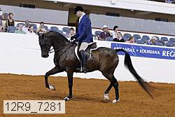 12r9_7281 proof