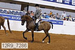 12r9_7286 proof