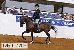12r9_7296 proof