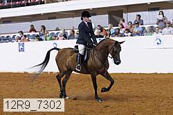 12r9_7302 proof