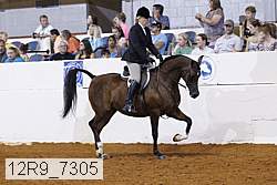 12r9_7305 proof
