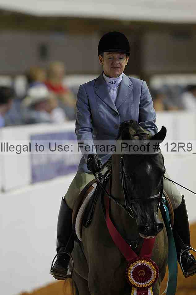 Proof 12r9_7319