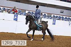 12r9_7323 proof