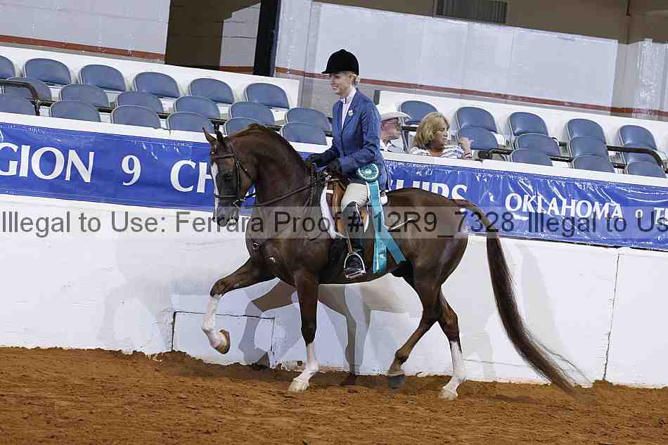Proof 12r9_7328