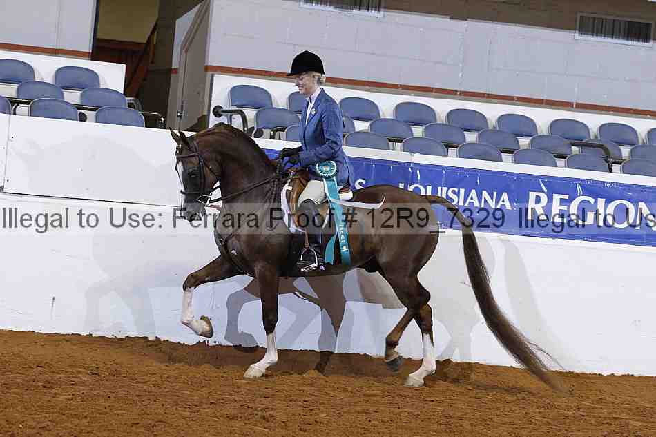 Proof 12r9_7329