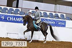 12r9_7331 proof