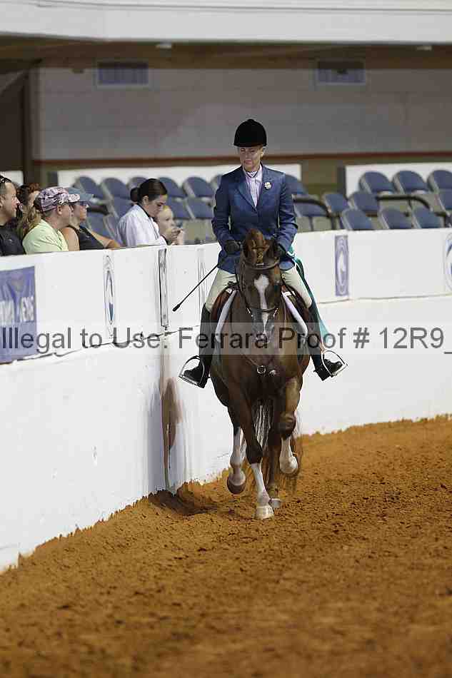 Proof 12r9_7339