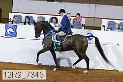 12r9_7345 proof