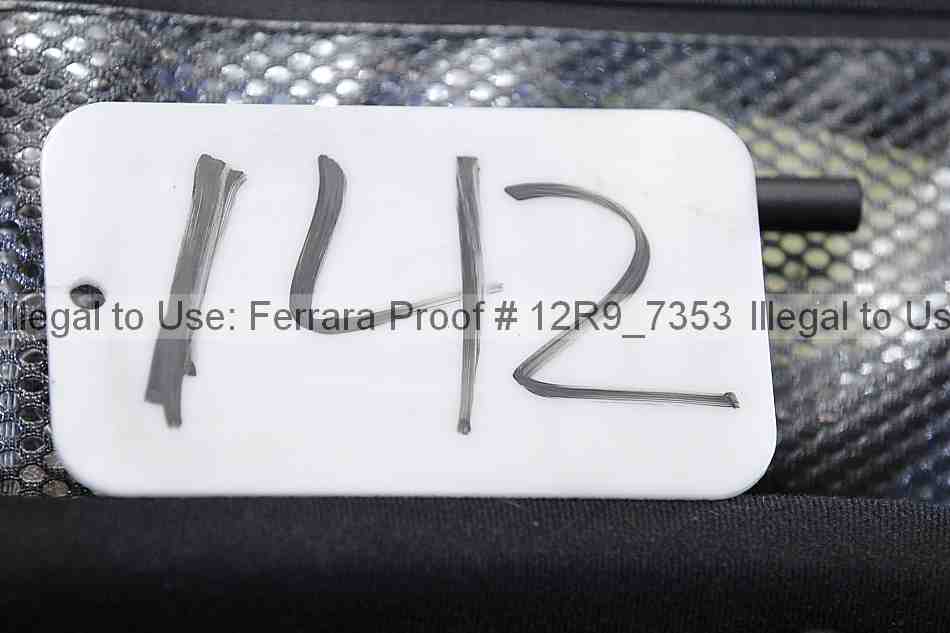 Proof 12r9_7353