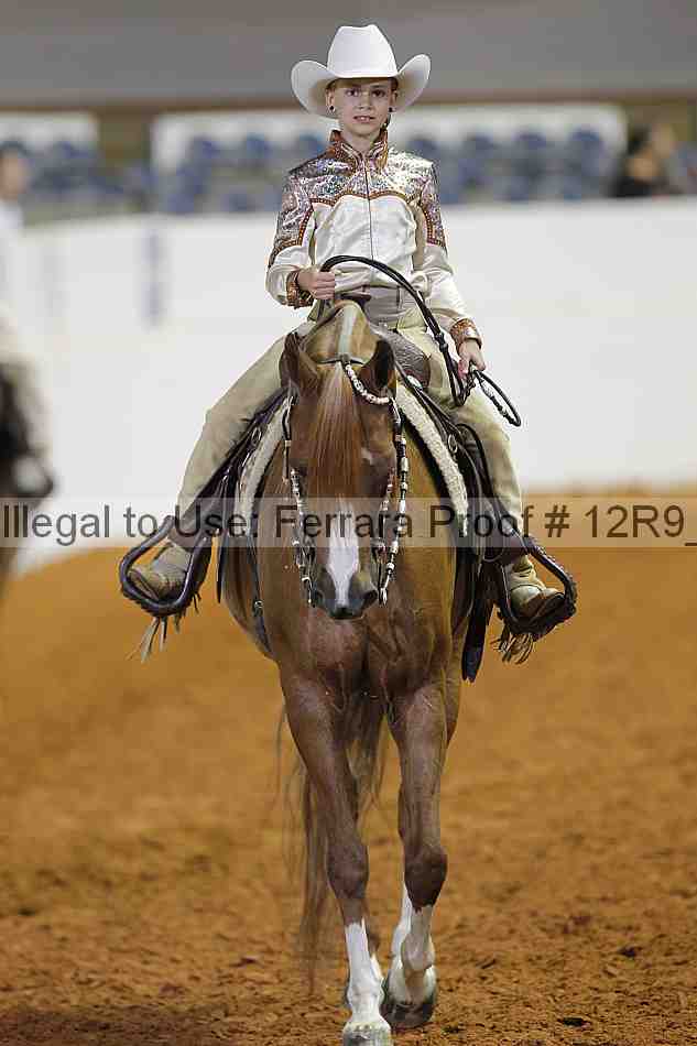 Proof 12r9_7366