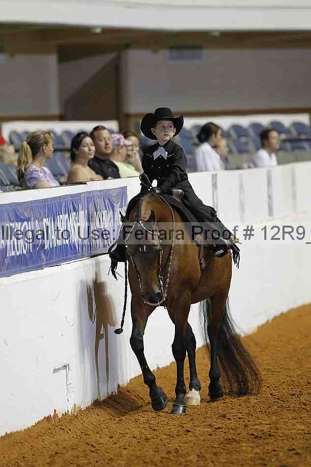 Proof 12r9_7376