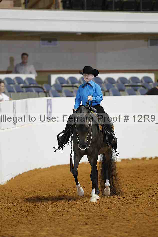 Proof 12r9_7377