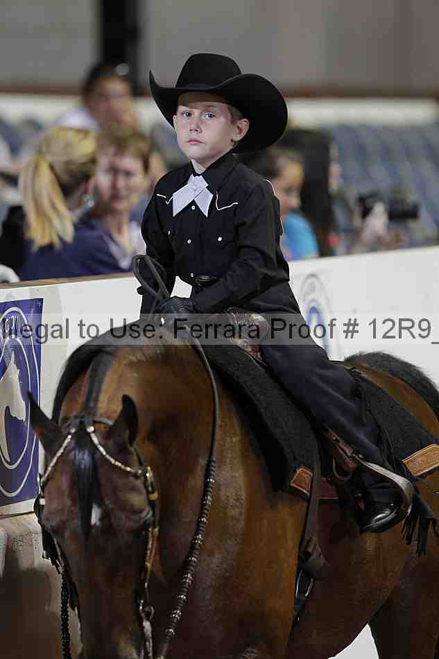 Proof 12r9_7378