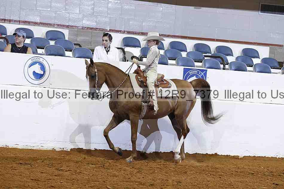 Proof 12r9_7379