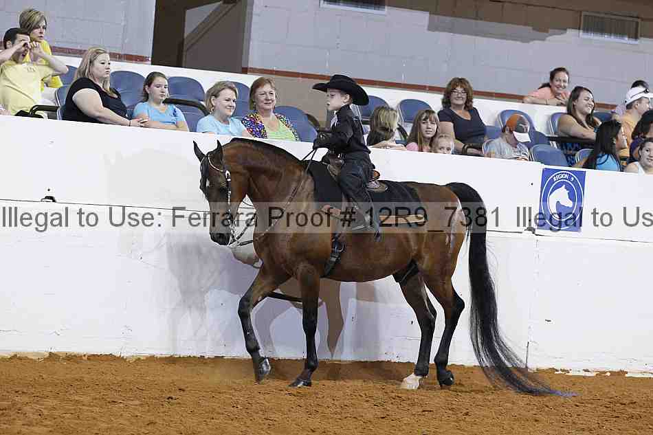 Proof 12r9_7381