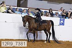12r9_7381 proof