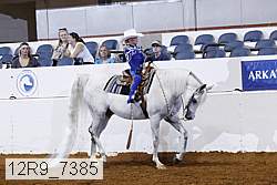 12r9_7385 proof