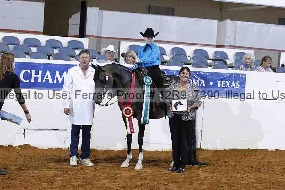 Proof 12r9_7390