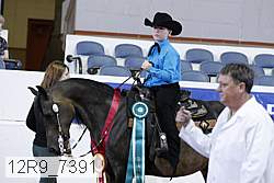 12r9_7391 proof
