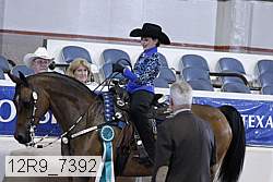 12r9_7392 proof