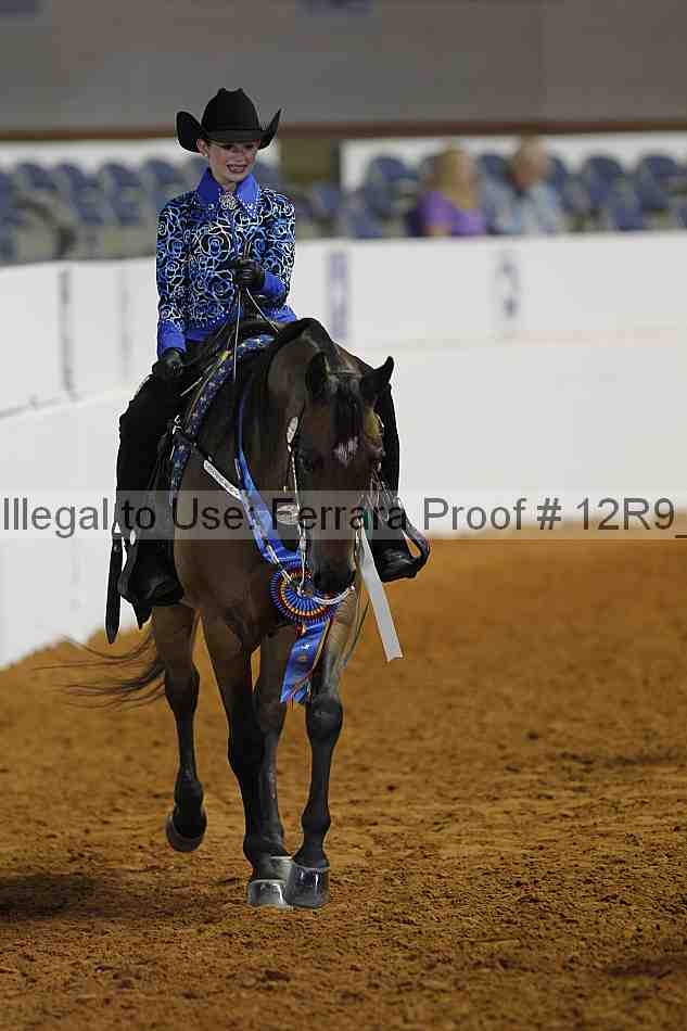 Proof 12r9_7398