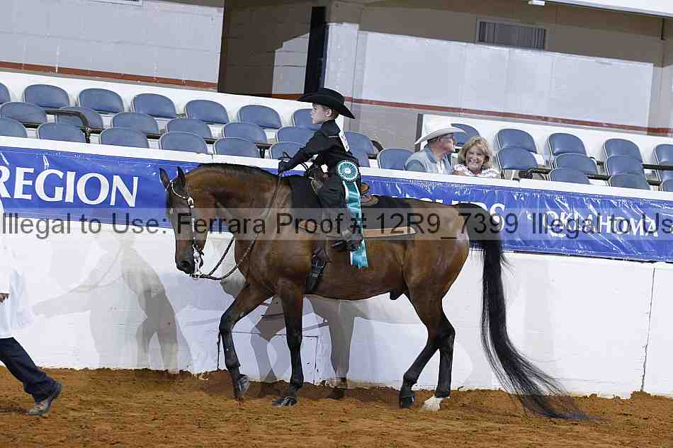 Proof 12r9_7399