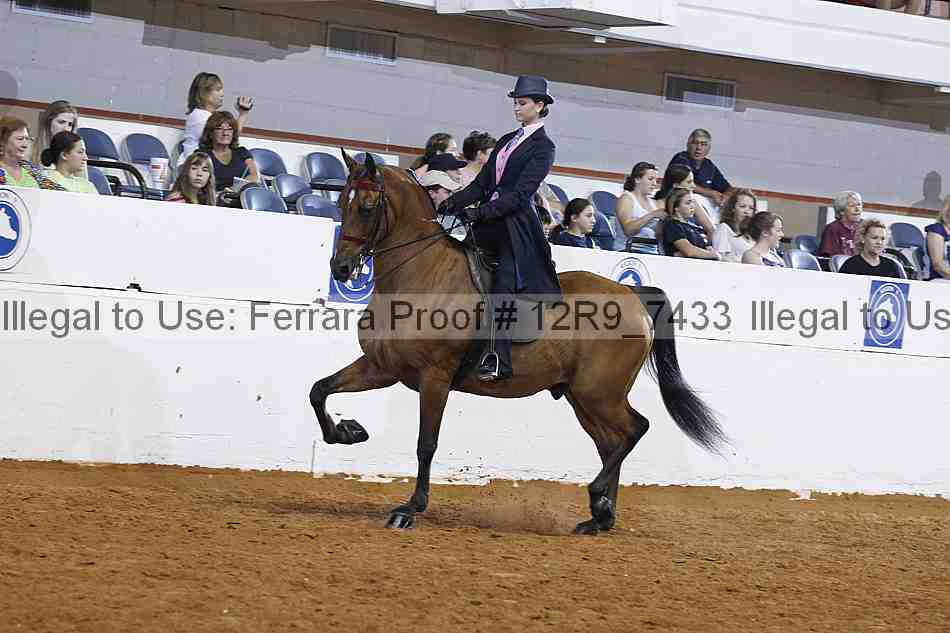 Proof 12r9_7433