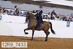 12r9_7433 proof