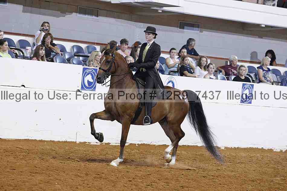 Proof 12r9_7437