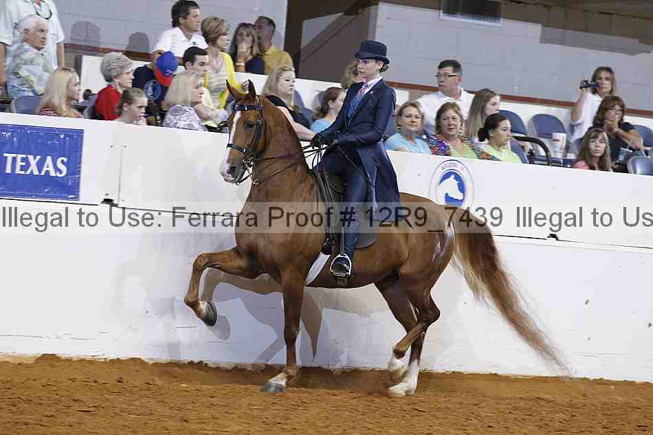 Proof 12r9_7439