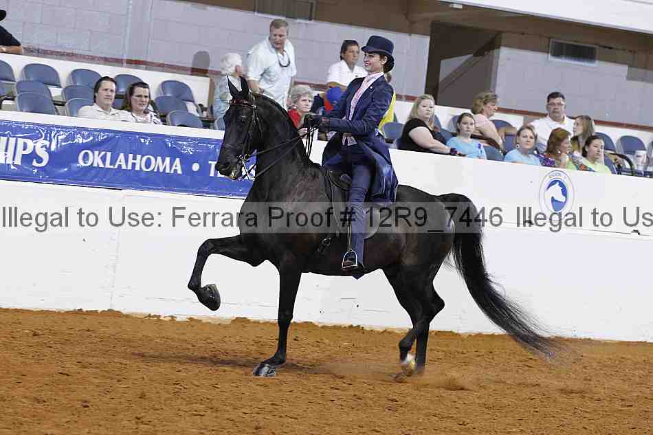 Proof 12r9_7446