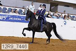 12r9_7446 proof