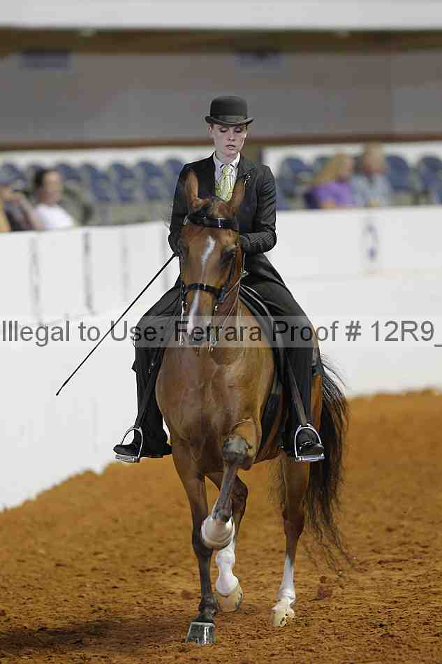 Proof 12r9_7449