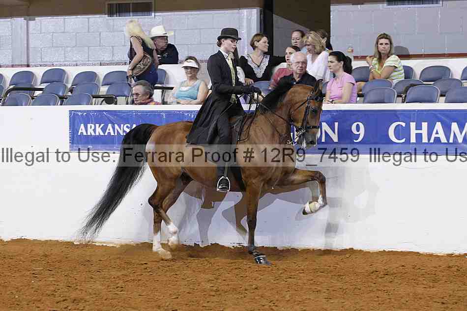 Proof 12r9_7459
