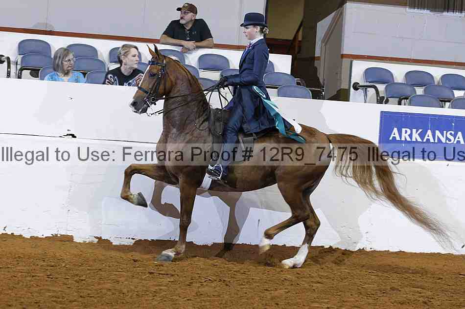 Proof 12r9_7475