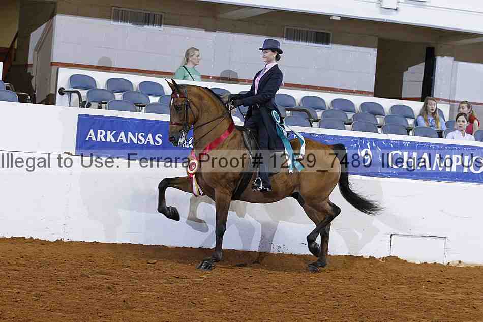 Proof 12r9_7480