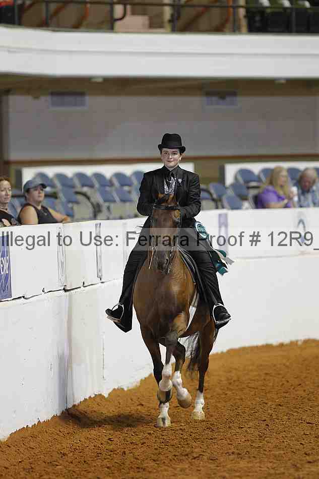 Proof 12r9_7481