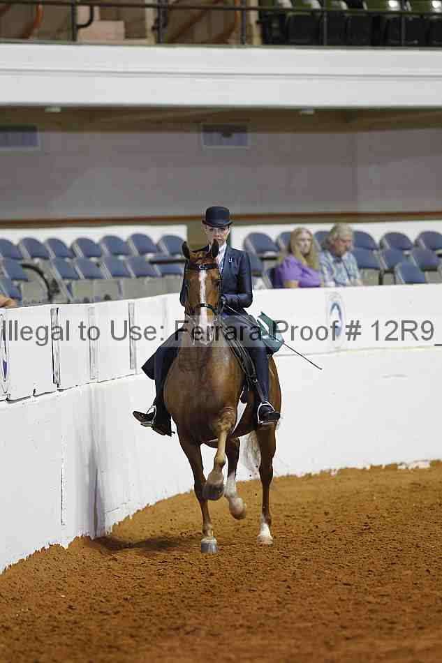 Proof 12r9_7485
